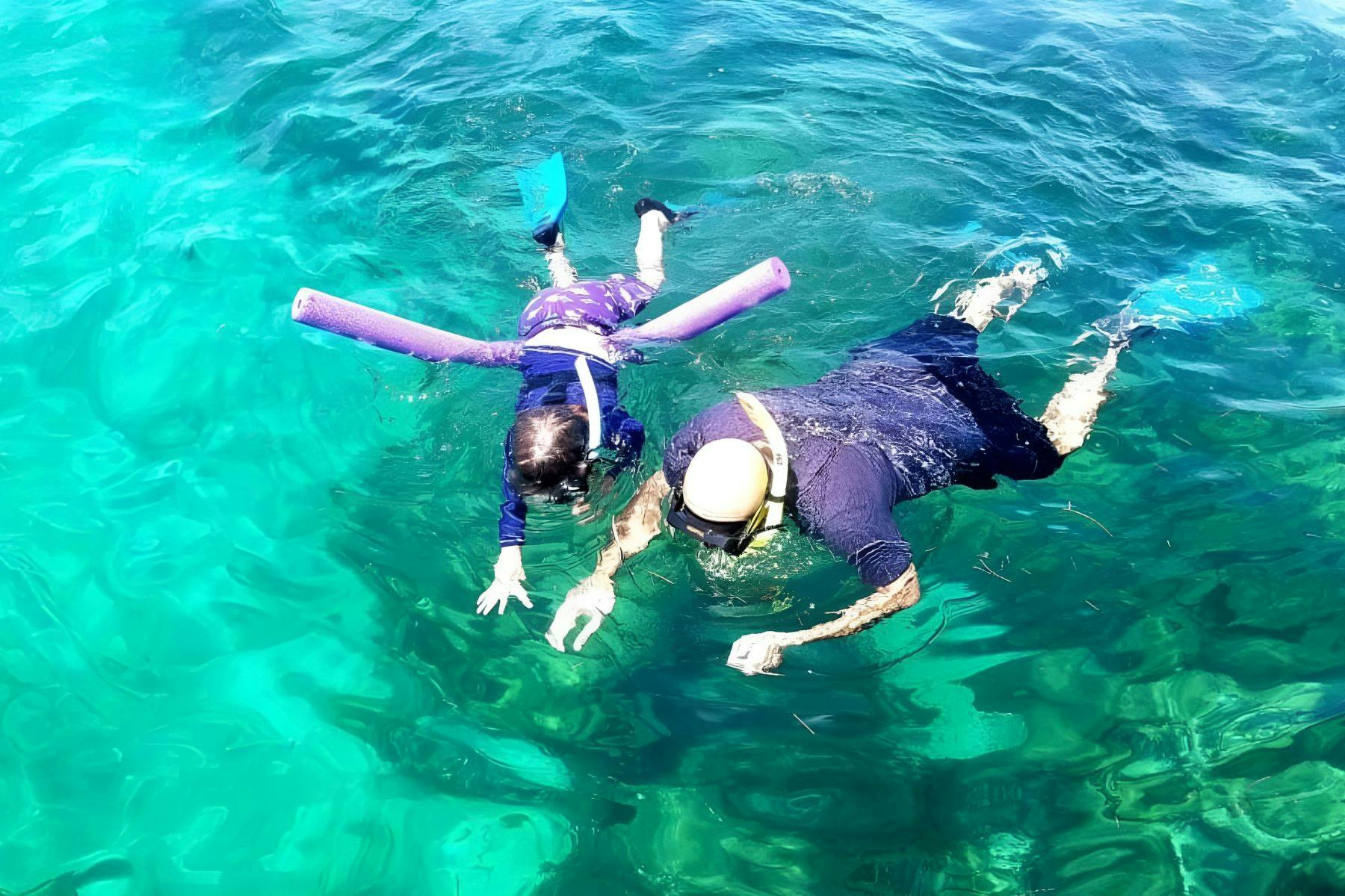 Biscayne Bay: Guided Snorkeling Adventure from South Beach - Photo 1 of 10